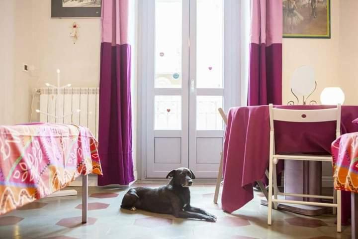 Casa Dani&Swing Bed&Books Bed & Breakfast Торино Екстериор снимка