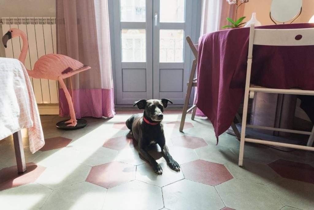 Casa Dani&Swing Bed&Books Bed & Breakfast Торино Екстериор снимка